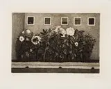 Giuseppe Viviani, Fiori della prigione, 1955, etching on rame
