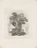 Giorgio Morandi, Gerani dentro un bicchiere, 1930, etching on paper India incollata