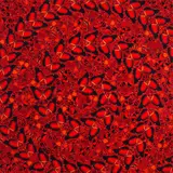 Taytu Betul by Damien Hirst, 2022, stampa Giclée laminata on pannello in alluminio stampato con glitter, offered Nov 2024