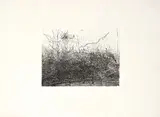 Gianfranco Ferroni, Città