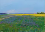 Angiolo Volpe, Campo con borrane e colza, oil on canvas applicata on cardboard