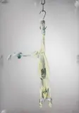 Michelangelo Pistoletto, Coniglio, screenprint on specchio