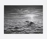 Sebastião Salgado, Argentina
