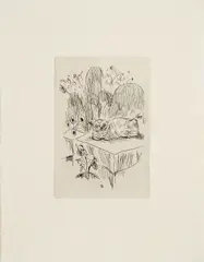 Pierre Bonnard, Le chat, etching