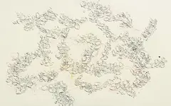 Emilio Perez, Senza titolo, 2002, inchiostro on paper