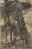 Bosco by Ludovico Tommasi, charcoal and biacca on paper, offered Apr 2024