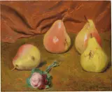 Federico Zandomeneghi, Poires et roses
