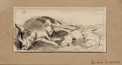 La scrofa by Armando Spadini, inchiostro on paper, offered Feb 2024
