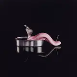 J&Peg, Senza titolo, 2007, fotografia a colori on canvas