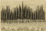 Giacomo Balla, Cipressi a Cotorniano, 1923, pencil and charcoal on paper