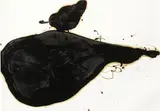 Yannis Kounellis, Senza titolo