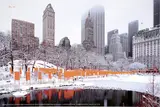 Christo, The Gates, Cromolitografia