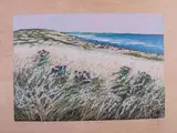 Franco Azzinari, Campagna e mare
