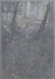 Piero Vignozzi, Studio di sottobosco, pastel on paper