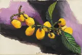 Renato Guttuso, Nespole, 1965, oil on canvas