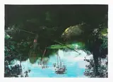 Antonio Pedretti, Da azzurro Amazzonia
