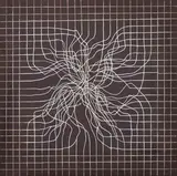 Carlo Severa, Groviglio, 1996, mixed media on panel