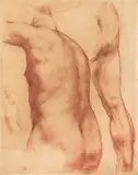 Pietro Annigoni, Studi di figura, sanguigna on paper