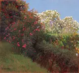 Giorgio Kienerk, Oleandri in fiore, oil on compensato