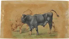Buoi by Filippo Palizzi, acquarello on paper, offered Apr 2023
