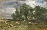 Charles Jacque, Pastorella con gregge, oil on tavoletta
