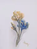 Maceo Casadei, Iris gialli e blu