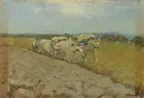 Carlo Passigli, Aratura, oil on compensato