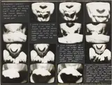 Vito Acconci, Waterways