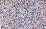 Mark Tobey, Senza titolo, 1961, tempera on paper