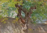 Raffaello Sorbi, Albero, oil on tavoletta