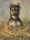 Filippo Palizzi, Yorkshire terrier, oil on canvas