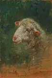 Francesco Paolo Michetti, Testa di pecora