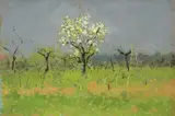 Carlo Passigli, Alberi in fiore, oil on cardboard applicato on compensato