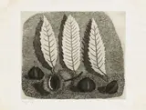 Giuseppe Viviani, Castagne e foglie, 1949, etching on rame