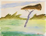 Ottone Rosai, Pino sul mare, 1956, watercolour on paper