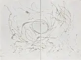 Pino Manos, Flusso armonico, 2010, mixed media on cardboard