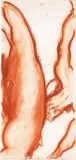 Stephen Cox, Senza titolo, sanguigna on paper