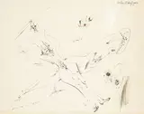 André Masson, Edipe transfiguré, ink on paper
