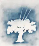 Senza titolo by Mario Schifano, enamel and spray on canvas, offered May 2022