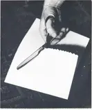 William Wegman, Pinking