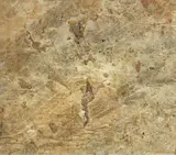 Rotella, Muro romano con impronte di pneumatici