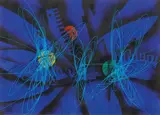 Roberto Crippa, Spirale, 1952, oil on canvas