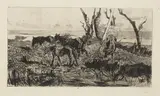 Giovanni Fattori, Pascolo di cavalli, etching on zinco