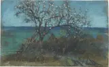 Francesco Paolo Michetti, Paesaggio con albero fiorito