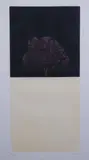 Carlo Mattioli, Una grafica e un libro