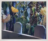 Gregory Crewdson, Senza titolo, dalla serie «Natural Wonder»