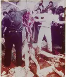 Hermann Nitsch, Action N. 35