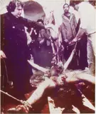 Hermann Nitsch, Action N. 35