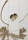 Maria Lai, Senza titolo, 1977, mixed media on screenprint