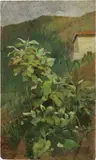 Eugenio Cecconi, Angolo di giardino, oil on panel